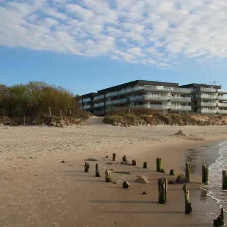 Gardenia Sea Side Topaz 6