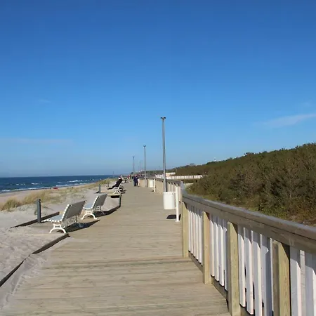 Gardenia Sea Side Topaz 6 *