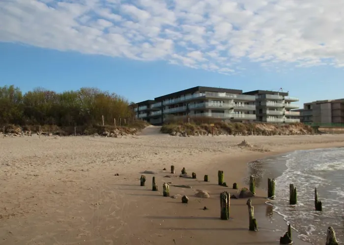 Gardenia Sea Side Topaz 6