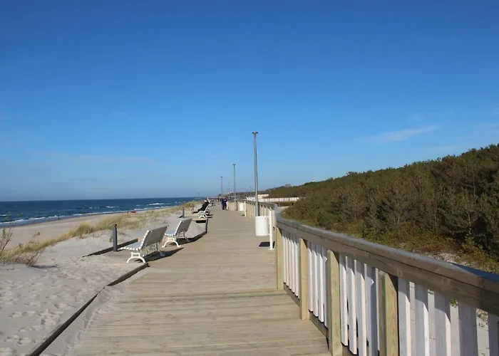 Gardenia Sea Side Topaz 6 *